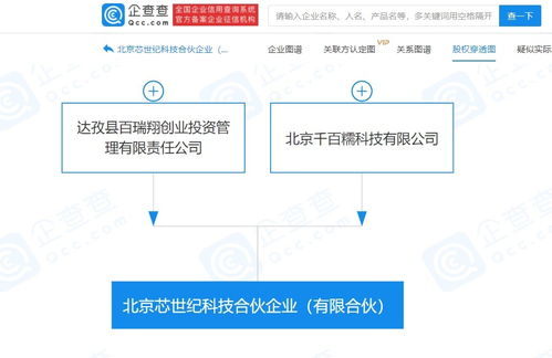 賦能未來 基礎(chǔ)軟件服務(wù)的核心價(jià)值與發(fā)展路徑